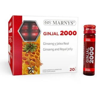 Ginjal 2000 20 x 10 ml